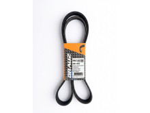 REMEN 6PK 1555 BRAUZ